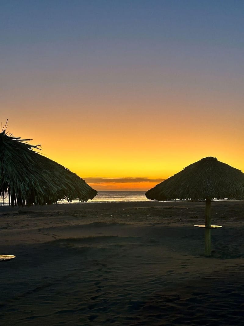 Silhouetted thatched-roof beach umbrellas on a sandy shore at sunset, with waves breaking and a glowing orange horizon over the ocean