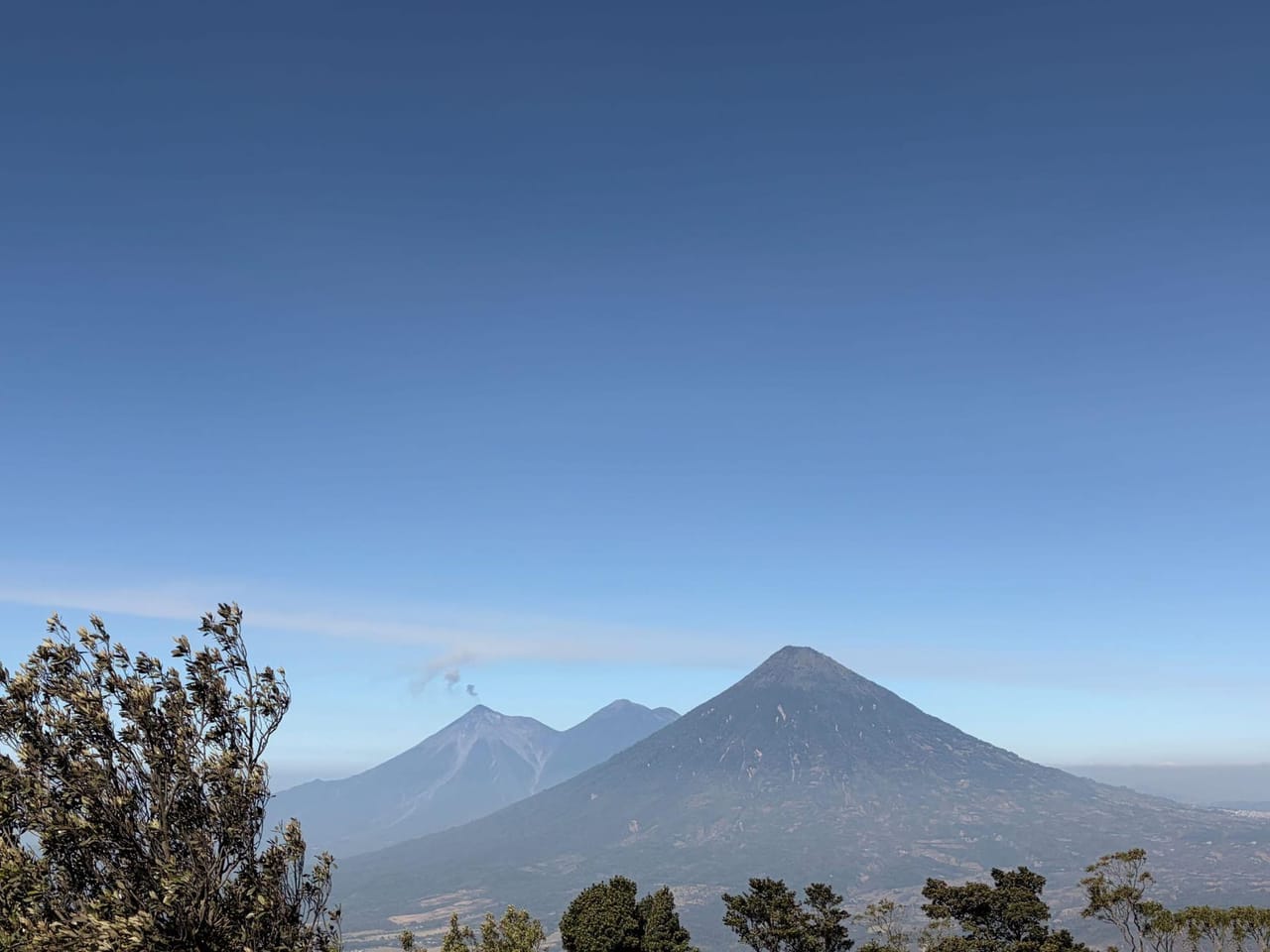 Looking out from Volcán Pacaya across treetops to a large cone-shaped volcano and two more distant peaks, one trailing a thin plume, under a clear blue sky
