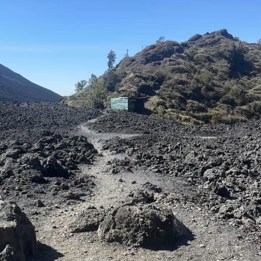 A narrow gravel path winding through a field of jagged black lava rock toward a green, shrub-covered ridge and a small hut